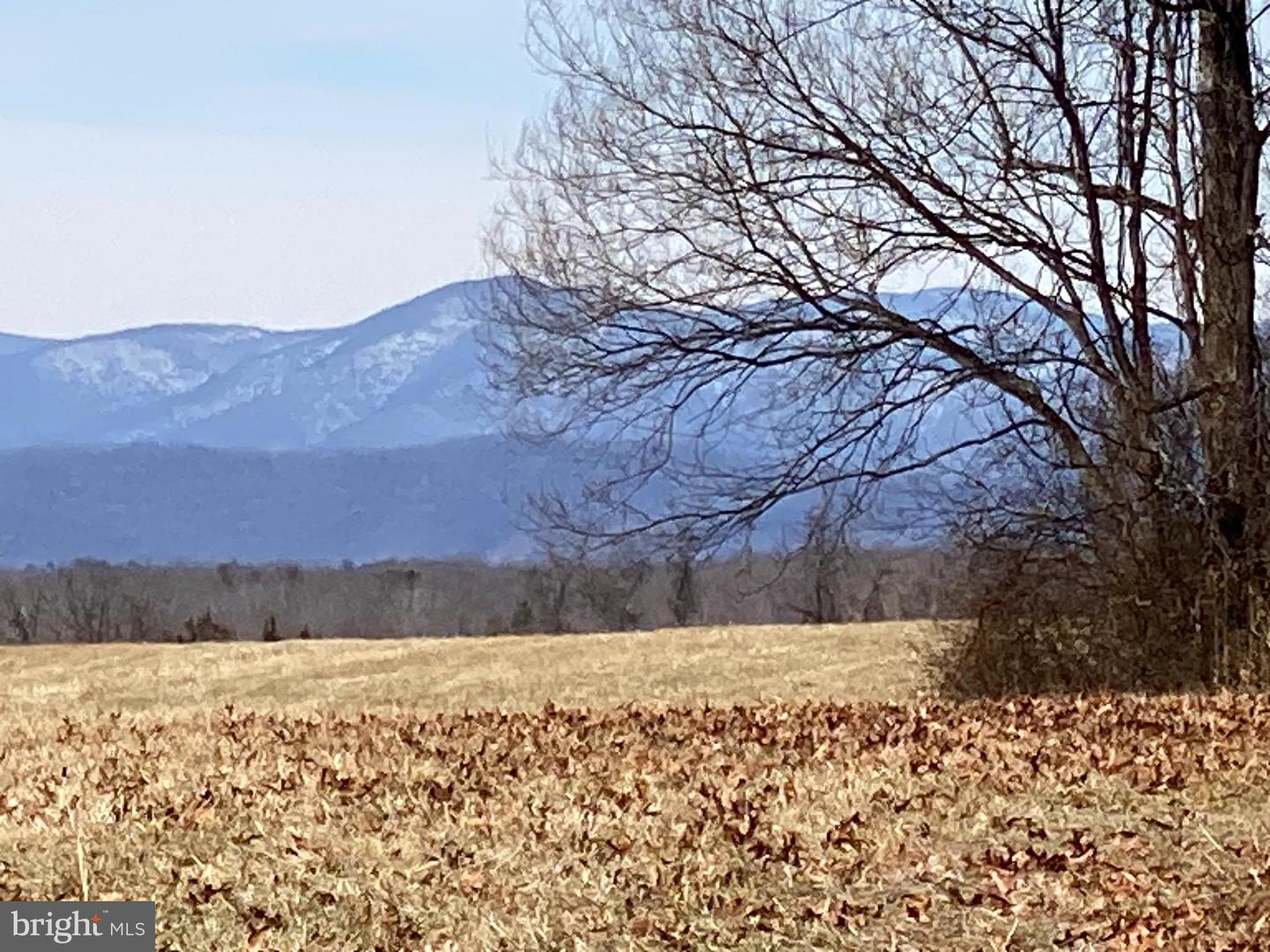 00 WHITES FARM LN, CULPEPER, Virginia 22701, ,Land,For sale,00 WHITES FARM LN,VACU2012884 MLS # VACU2012884