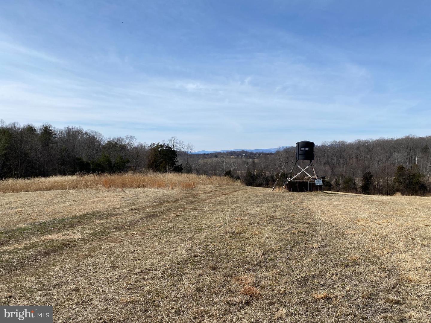 00 WHITES FARM LN, CULPEPER, Virginia 22701, ,Land,For sale,00 WHITES FARM LN,VACU2012884 MLS # VACU2012884