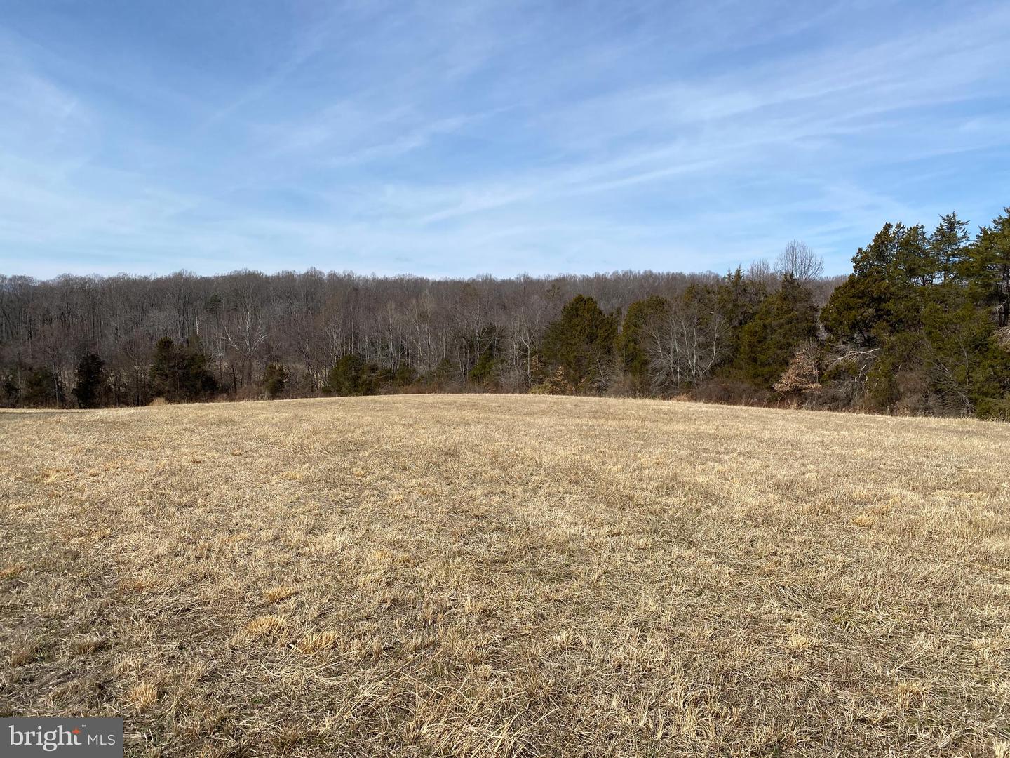 00 WHITES FARM LN, CULPEPER, Virginia 22701, ,Land,For sale,00 WHITES FARM LN,VACU2012884 MLS # VACU2012884