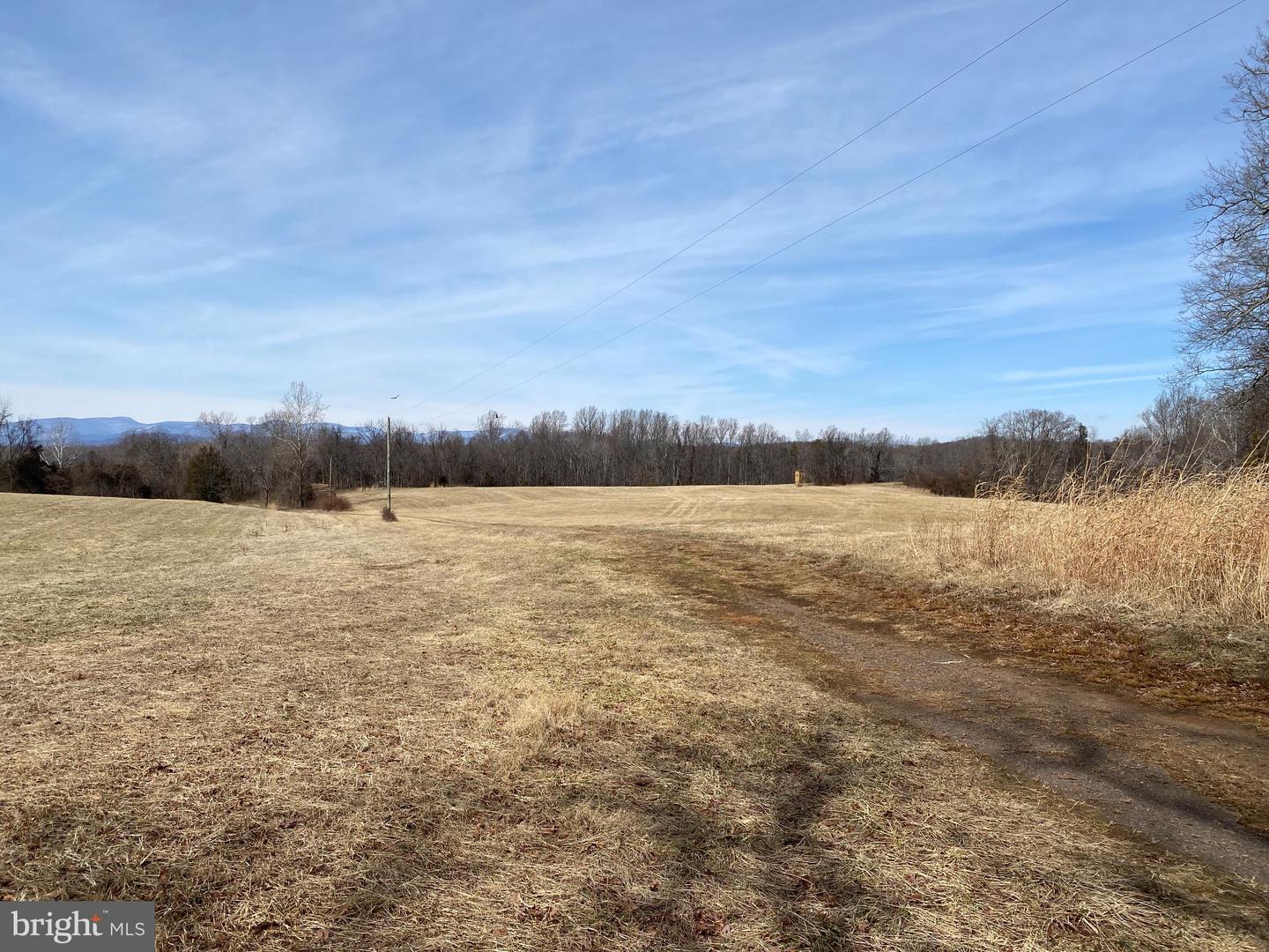 KIRTLEY TRL, CULPEPER, Virginia 22701, ,Land,For sale,KIRTLEY TRL,VACU2012886 MLS # VACU2012886