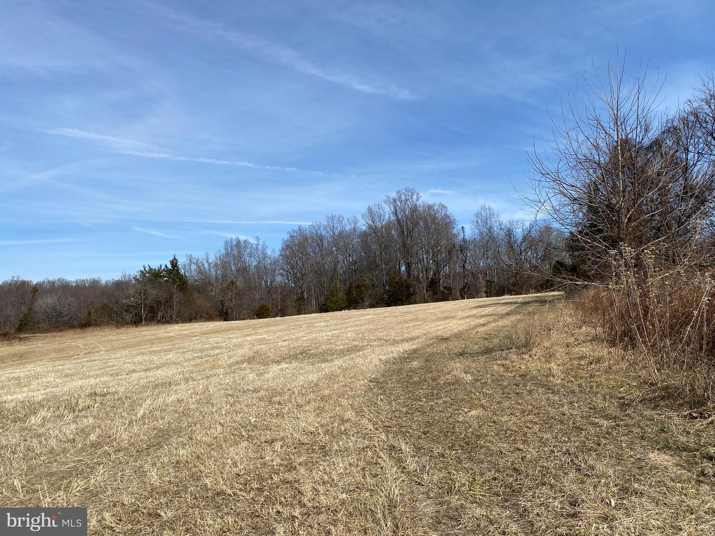 KIRTLEY TRL, CULPEPER, Virginia 22701, ,Land,For sale,KIRTLEY TRL,VACU2012886 MLS # VACU2012886