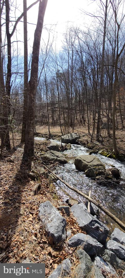 TBD PERRY LANE, LOVINGSTON, Virginia 22949, ,Land,For sale,TBD PERRY LANE,VANL2000642 MLS # VANL2000642