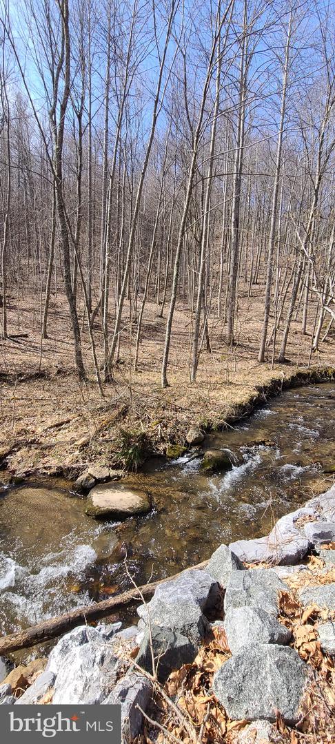 TBD PERRY LANE, LOVINGSTON, Virginia 22949, ,Land,For sale,TBD PERRY LANE,VANL2000642 MLS # VANL2000642