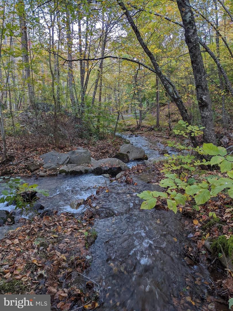 TBD PERRY LANE, LOVINGSTON, Virginia 22949, ,Land,For sale,TBD PERRY LANE,VANL2000642 MLS # VANL2000642