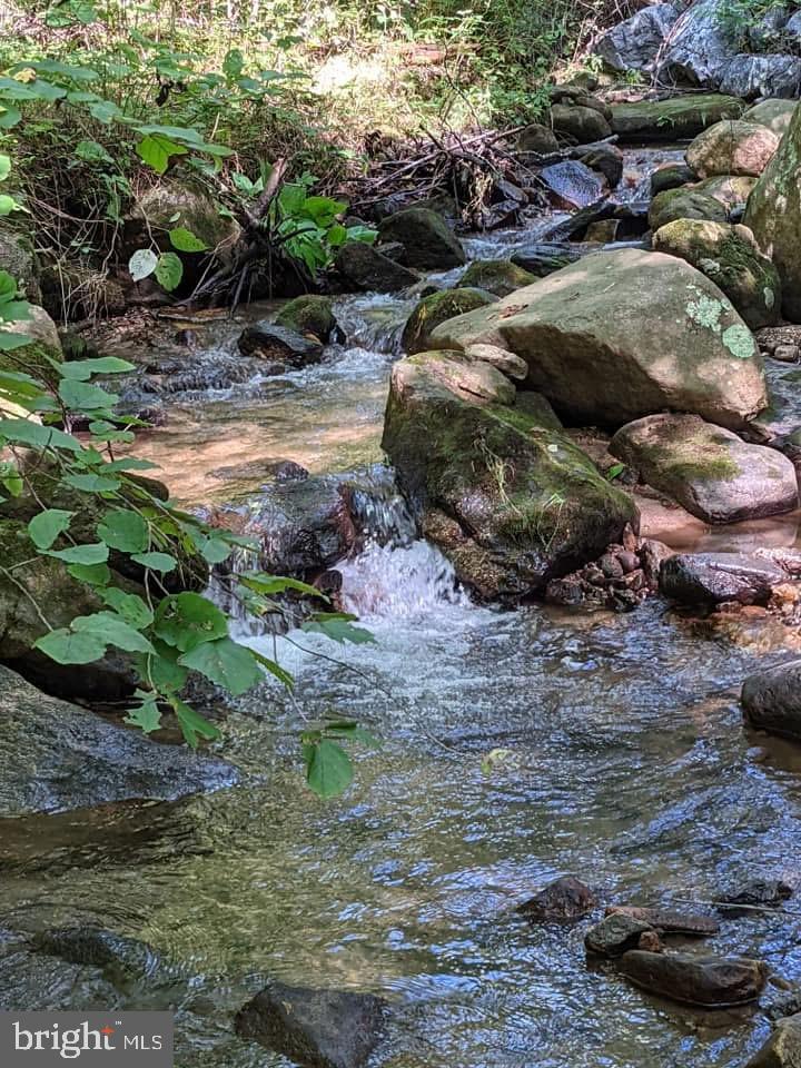 TBD PERRY LANE, LOVINGSTON, Virginia 22949, ,Land,For sale,TBD PERRY LANE,VANL2000642 MLS # VANL2000642