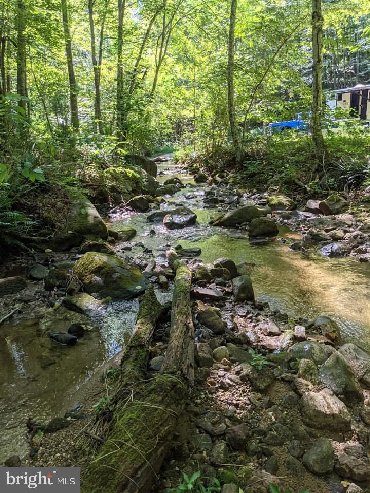 TBD PERRY LANE, LOVINGSTON, Virginia 22949, ,Land,For sale,TBD PERRY LANE,VANL2000642 MLS # VANL2000642