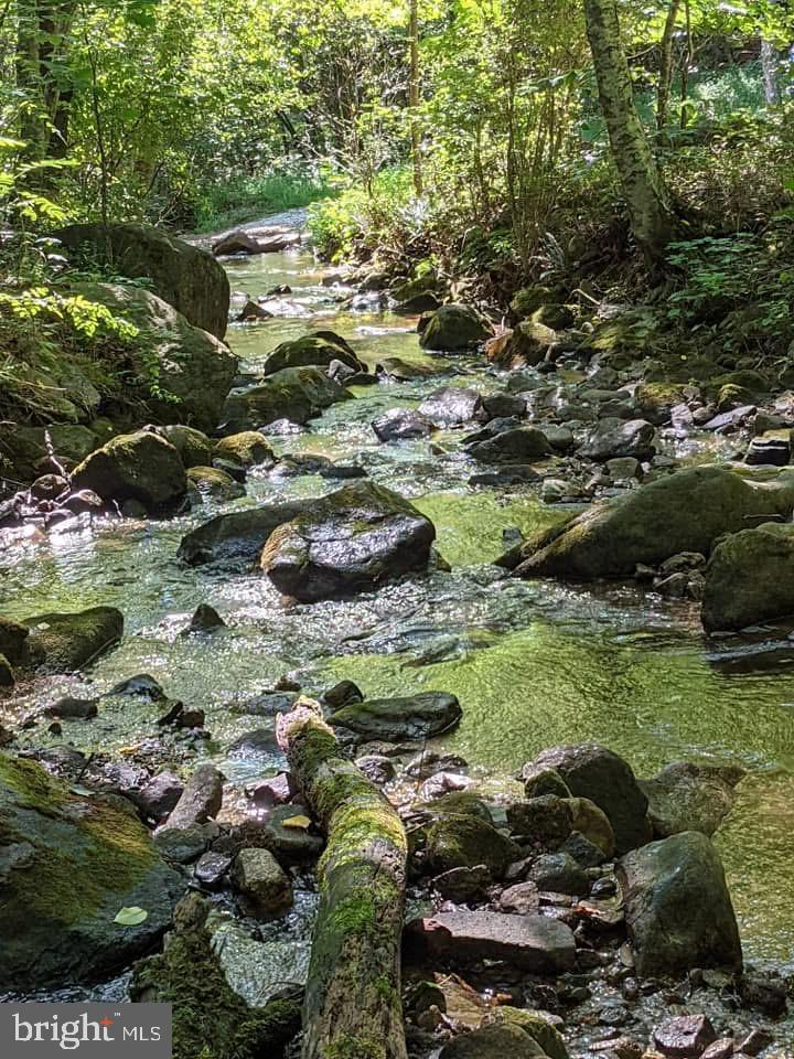 TBD PERRY LANE, LOVINGSTON, Virginia 22949, ,Land,For sale,TBD PERRY LANE,VANL2000642 MLS # VANL2000642