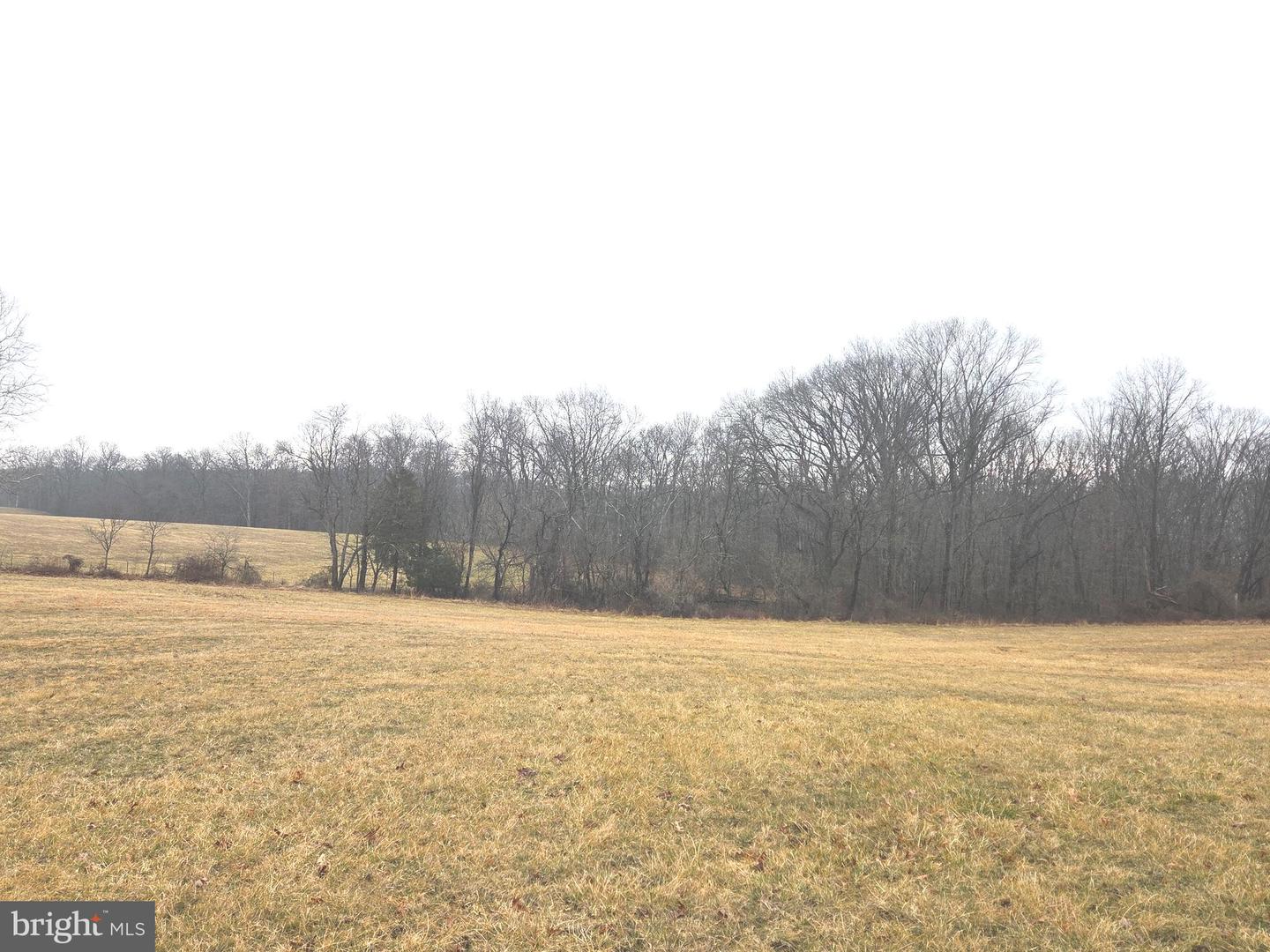 459 SPRINGFIELD ESTATES DR, RILEYVILLE, Virginia 22650, 3 Bedrooms Bedrooms, ,2 BathroomsBathrooms,Residential,For sale,459 SPRINGFIELD ESTATES DR,VAPA2006134 MLS # VAPA2006134 459 SPRINGFIELD ESTATES DR, RILEYVILLE, Virginia 22650, 3 Bedrooms Bedrooms, ,2 BathroomsBathrooms,Residential,For sale,459 SPRINGFIELD ESTATES DR,VAPA2006134 MLS # VAPA2006134