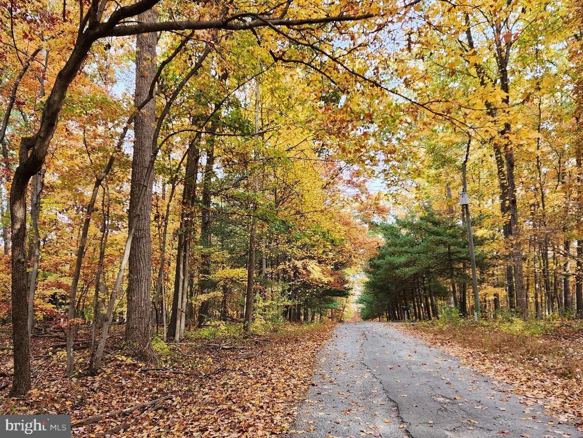 459 SPRINGFIELD ESTATES DR, RILEYVILLE, Virginia 22650, 3 Bedrooms Bedrooms, ,2 BathroomsBathrooms,Residential,For sale,459 SPRINGFIELD ESTATES DR,VAPA2006134 MLS # VAPA2006134 459 SPRINGFIELD ESTATES DR, RILEYVILLE, Virginia 22650, 3 Bedrooms Bedrooms, ,2 BathroomsBathrooms,Residential,For sale,459 SPRINGFIELD ESTATES DR,VAPA2006134 MLS # VAPA2006134