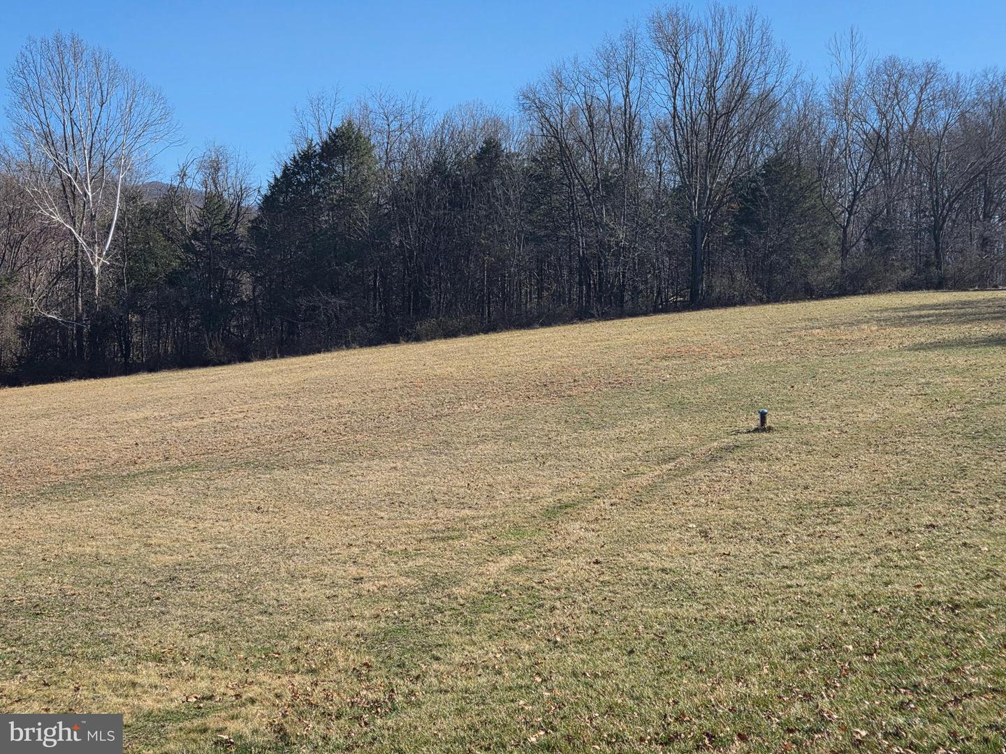 459 SPRINGFIELD ESTATES DR, RILEYVILLE, Virginia 22650, 3 Bedrooms Bedrooms, ,2 BathroomsBathrooms,Residential,For sale,459 SPRINGFIELD ESTATES DR,VAPA2006134 MLS # VAPA2006134 459 SPRINGFIELD ESTATES DR, RILEYVILLE, Virginia 22650, 3 Bedrooms Bedrooms, ,2 BathroomsBathrooms,Residential,For sale,459 SPRINGFIELD ESTATES DR,VAPA2006134 MLS # VAPA2006134