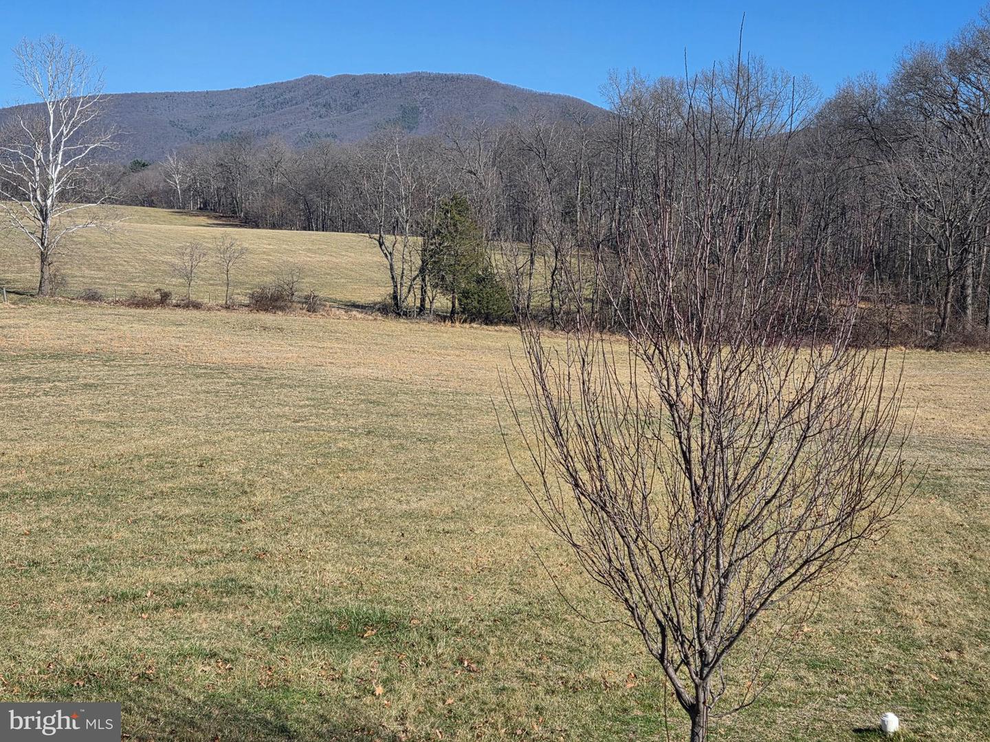 459 SPRINGFIELD ESTATES DR, RILEYVILLE, Virginia 22650, 3 Bedrooms Bedrooms, ,2 BathroomsBathrooms,Residential,For sale,459 SPRINGFIELD ESTATES DR,VAPA2006134 MLS # VAPA2006134 459 SPRINGFIELD ESTATES DR, RILEYVILLE, Virginia 22650, 3 Bedrooms Bedrooms, ,2 BathroomsBathrooms,Residential,For sale,459 SPRINGFIELD ESTATES DR,VAPA2006134 MLS # VAPA2006134