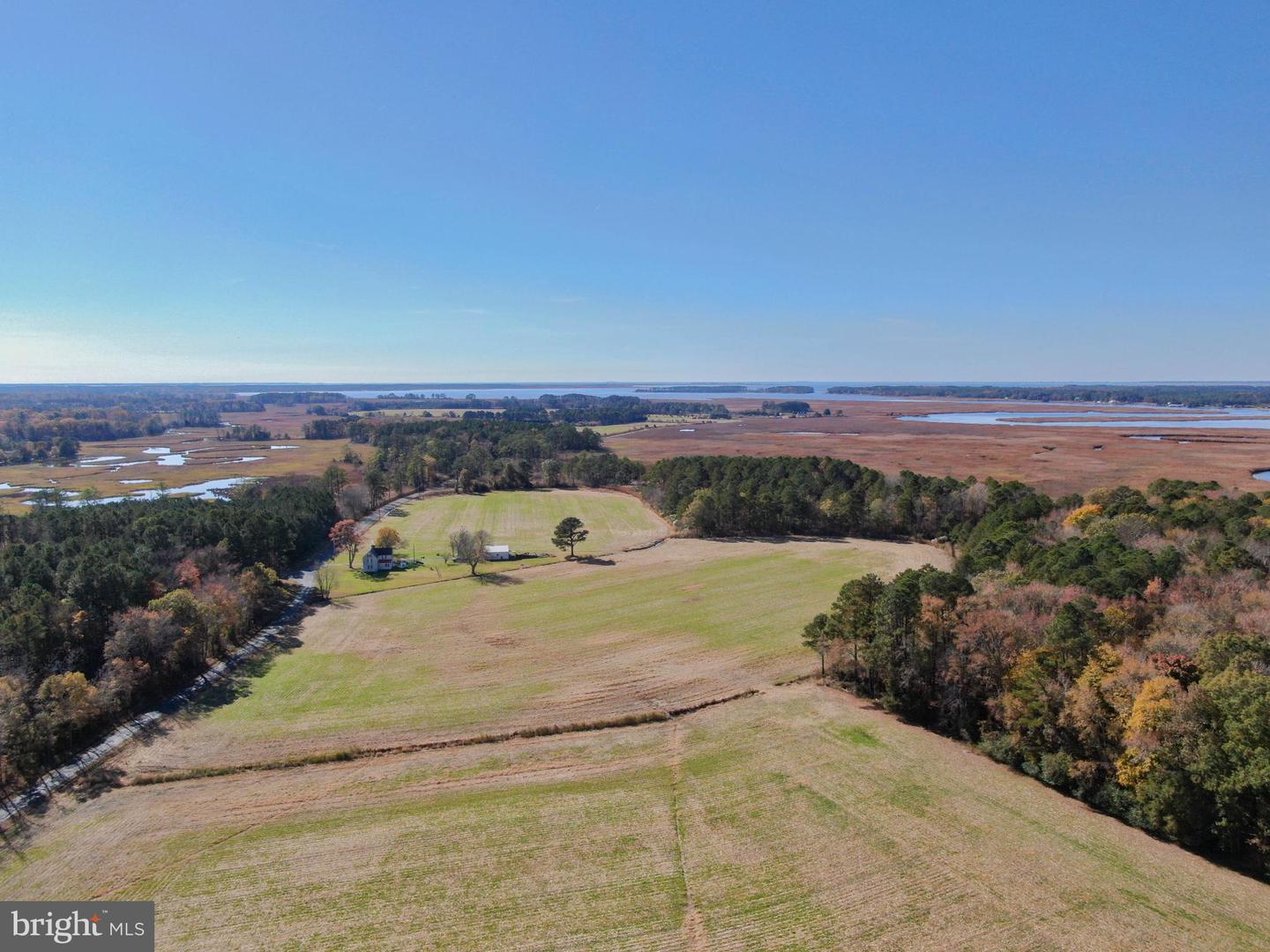 26297 PITTS CREEK RD, NEW CHURCH, Virginia 23415, ,Farm,For sale,26297 PITTS CREEK RD,VAAC2002656 MLS # VAAC2002656