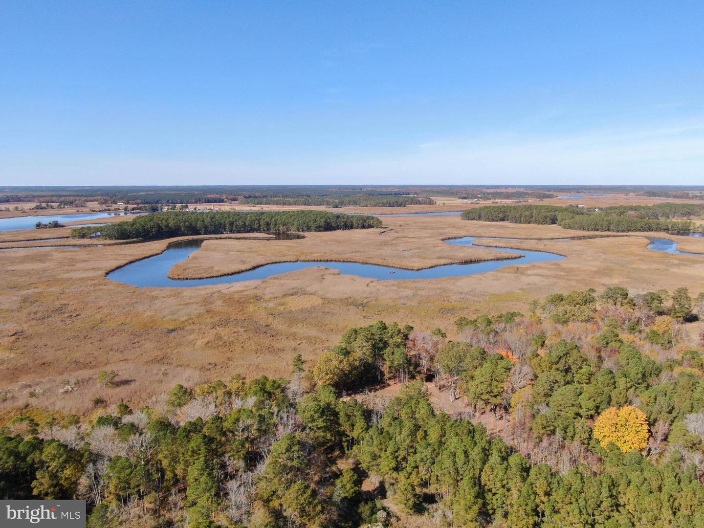 26297 PITTS CREEK RD, NEW CHURCH, Virginia 23415, ,Farm,For sale,26297 PITTS CREEK RD,VAAC2002656 MLS # VAAC2002656