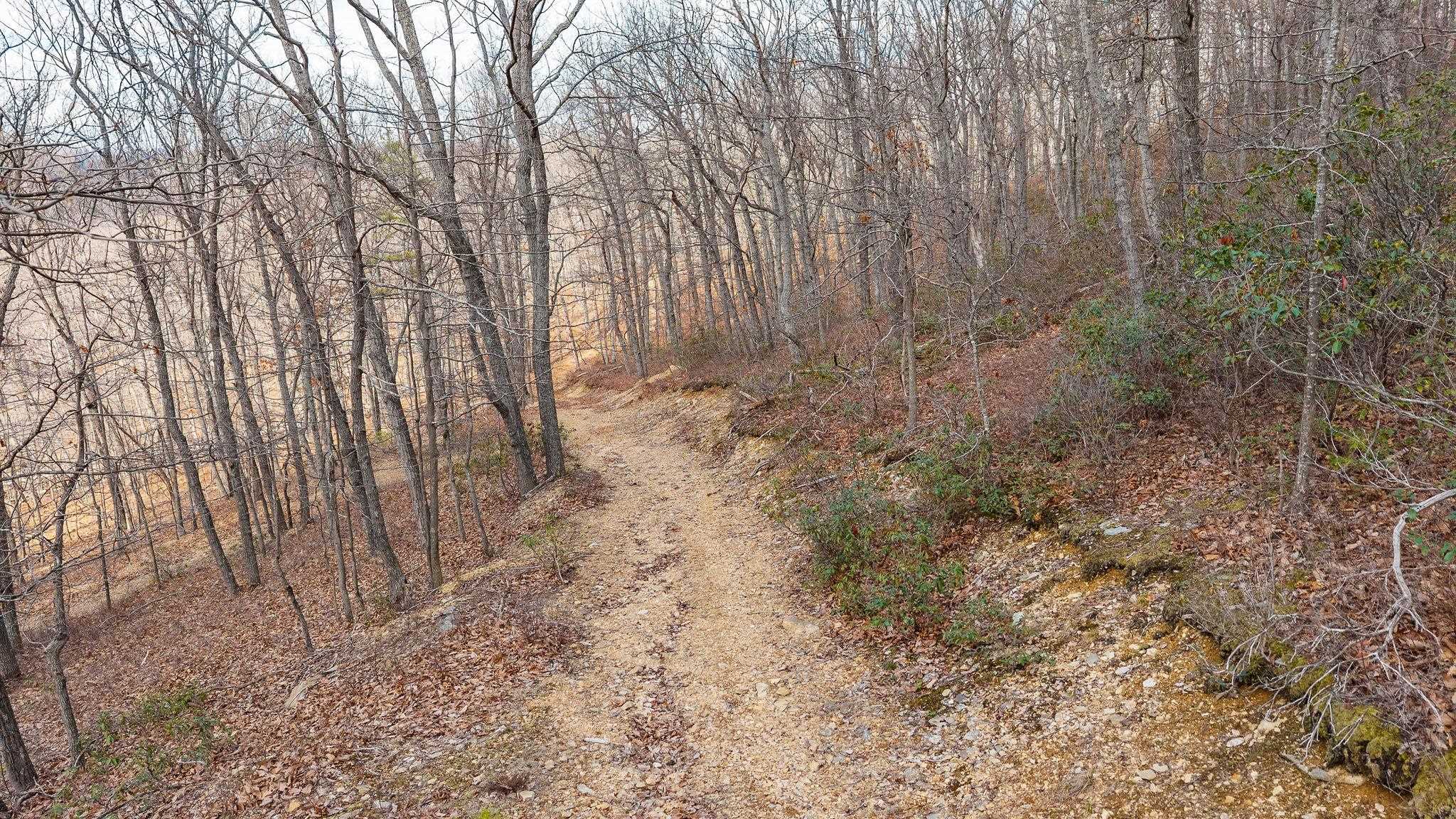 TBD BEN LYONS LN, LYNDHURST, Virginia 22952, ,Land,TBD BEN LYONS LN,674086 MLS # 674086