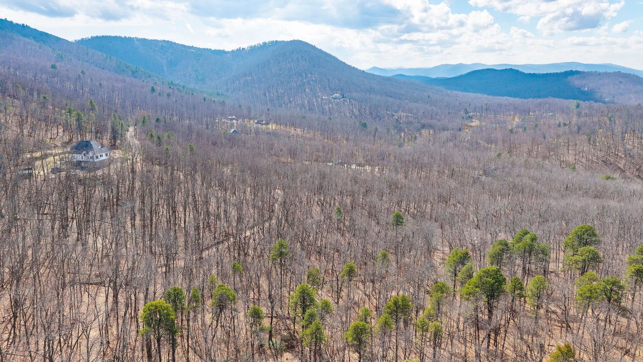 TBD BEN LYONS LN, LYNDHURST, Virginia 22952, ,Land,TBD BEN LYONS LN,674086 MLS # 674086