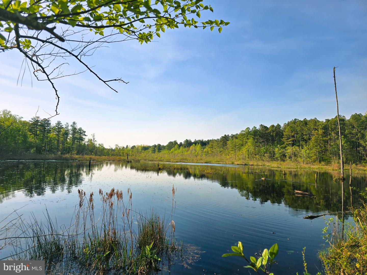 LOT 43A & 34B JENNINGS, RUTHER GLEN, Virginia 22546, ,Land,For sale,LOT 43A & 34B JENNINGS,VACV2009676 MLS # VACV2009676