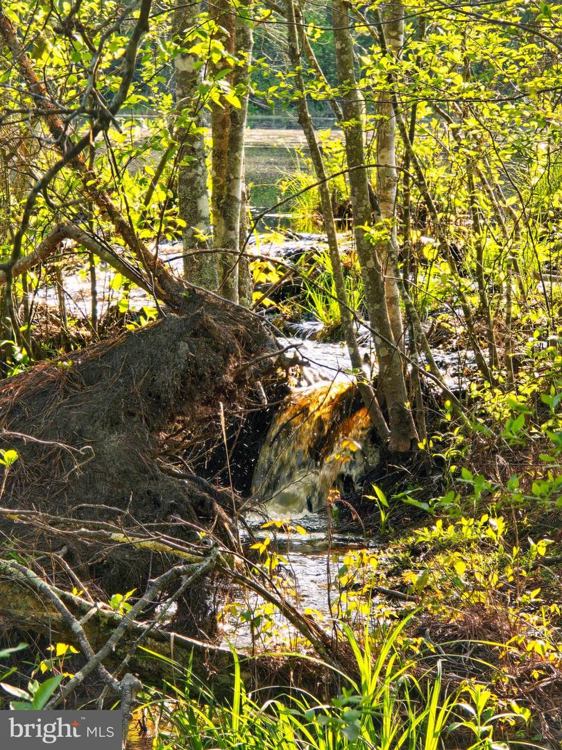 LOT 43A & 34B JENNINGS, RUTHER GLEN, Virginia 22546, ,Land,For sale,LOT 43A & 34B JENNINGS,VACV2009676 MLS # VACV2009676