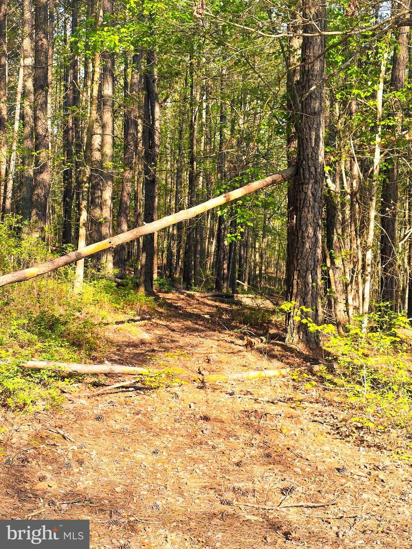 LOT 43A & 34B JENNINGS, RUTHER GLEN, Virginia 22546, ,Land,For sale,LOT 43A & 34B JENNINGS,VACV2009676 MLS # VACV2009676