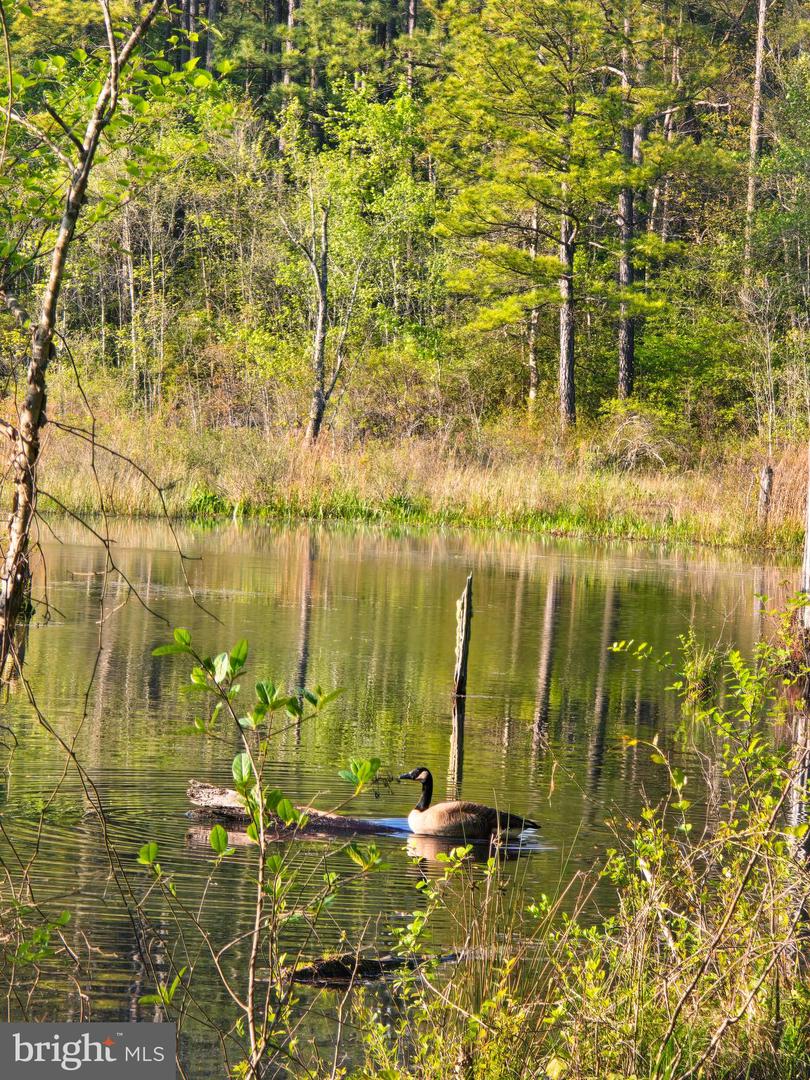 LOT 43A & 34B JENNINGS, RUTHER GLEN, Virginia 22546, ,Land,For sale,LOT 43A & 34B JENNINGS,VACV2009676 MLS # VACV2009676