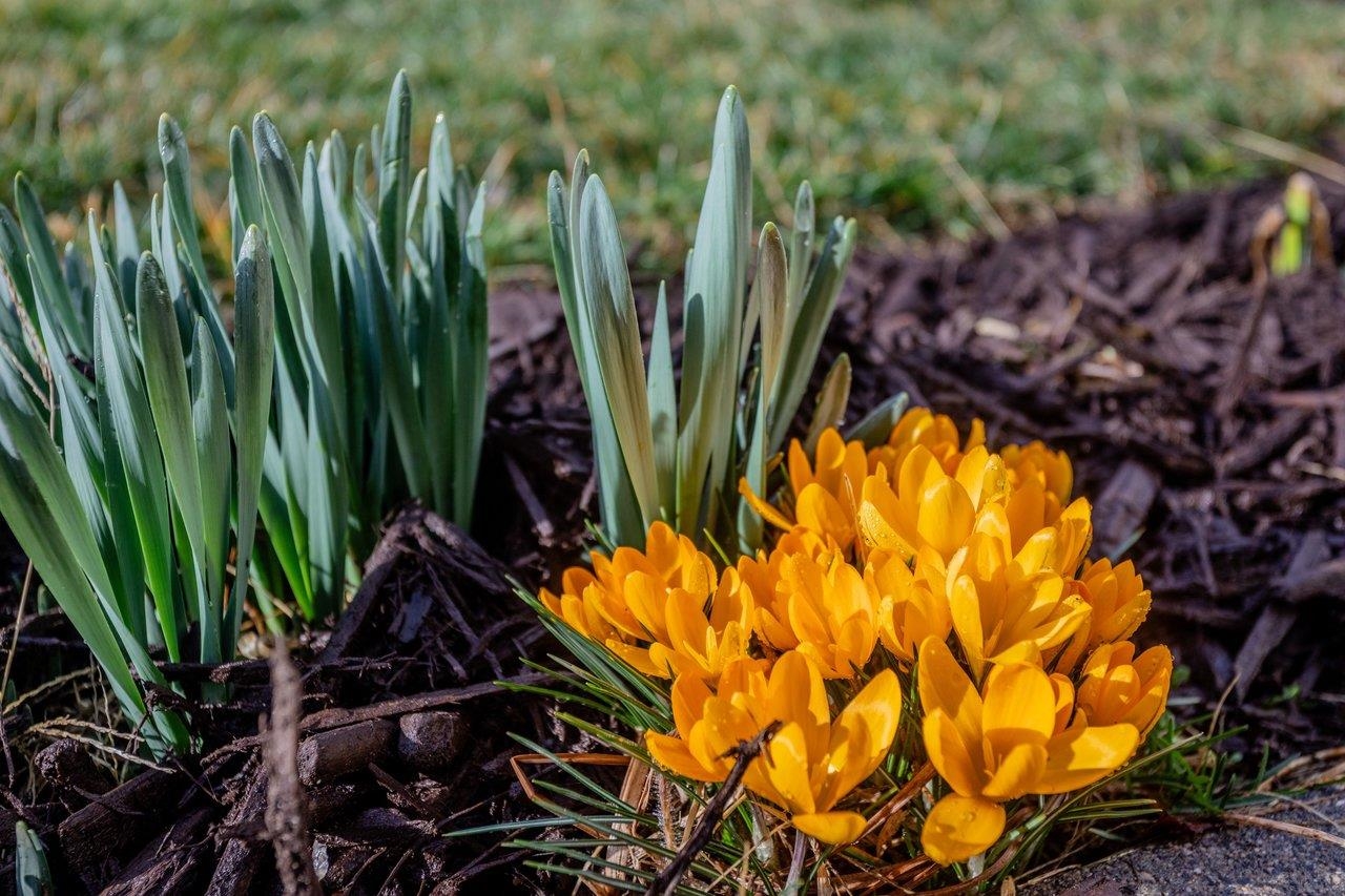 1205 SETTLERS LN, HARRISONBURG, Virginia 22802, 3 Bedrooms Bedrooms, ,2 BathroomsBathrooms,Residential,1205 SETTLERS LN,674090 MLS # 674090