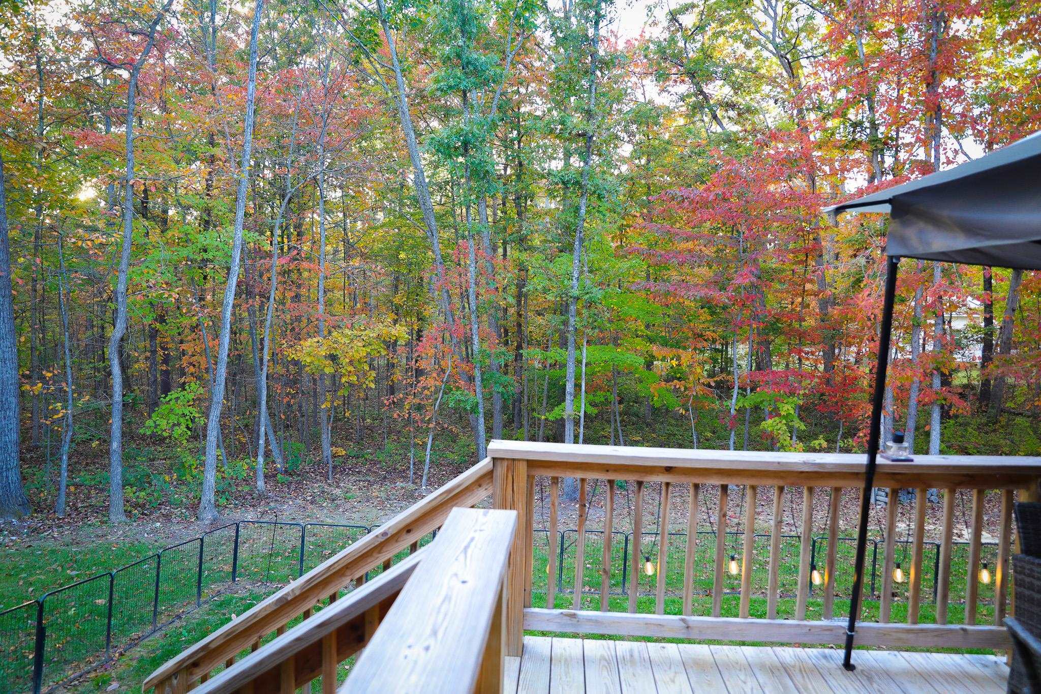 31 BIG BIRD LN, CRIMORA, Virginia 24431, 4 Bedrooms Bedrooms, ,2 BathroomsBathrooms,Residential,31 BIG BIRD LN,674092 MLS # 674092