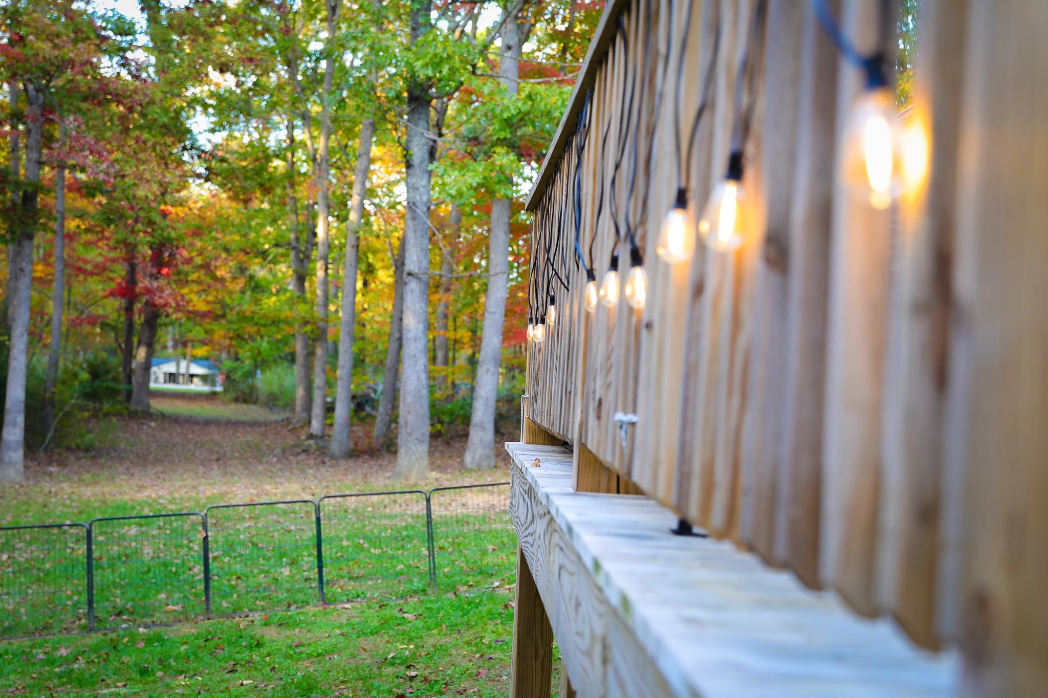 31 BIG BIRD LN, CRIMORA, Virginia 24431, 4 Bedrooms Bedrooms, ,2 BathroomsBathrooms,Residential,31 BIG BIRD LN,674092 MLS # 674092