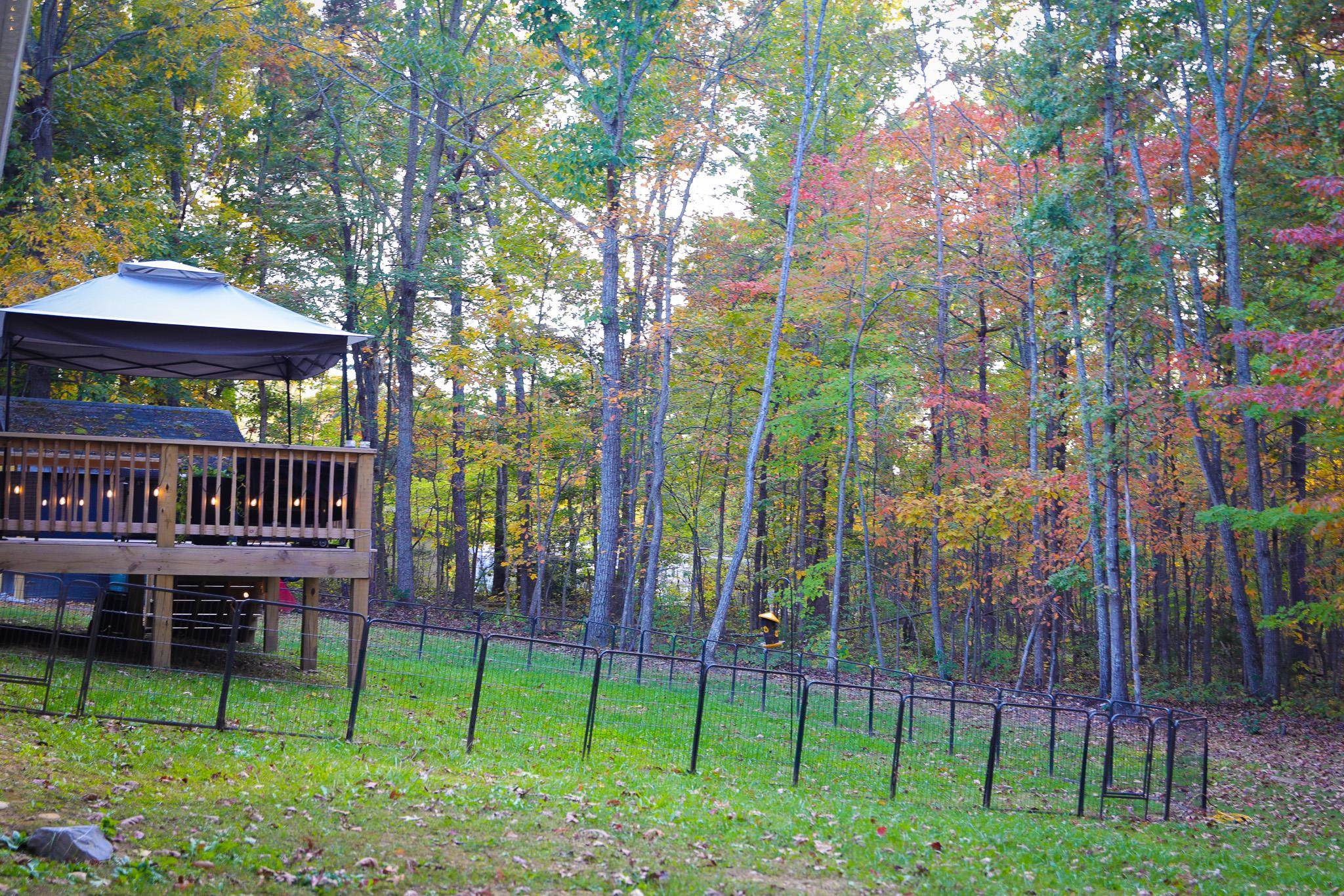 31 BIG BIRD LN, CRIMORA, Virginia 24431, 4 Bedrooms Bedrooms, ,2 BathroomsBathrooms,Residential,31 BIG BIRD LN,674092 MLS # 674092