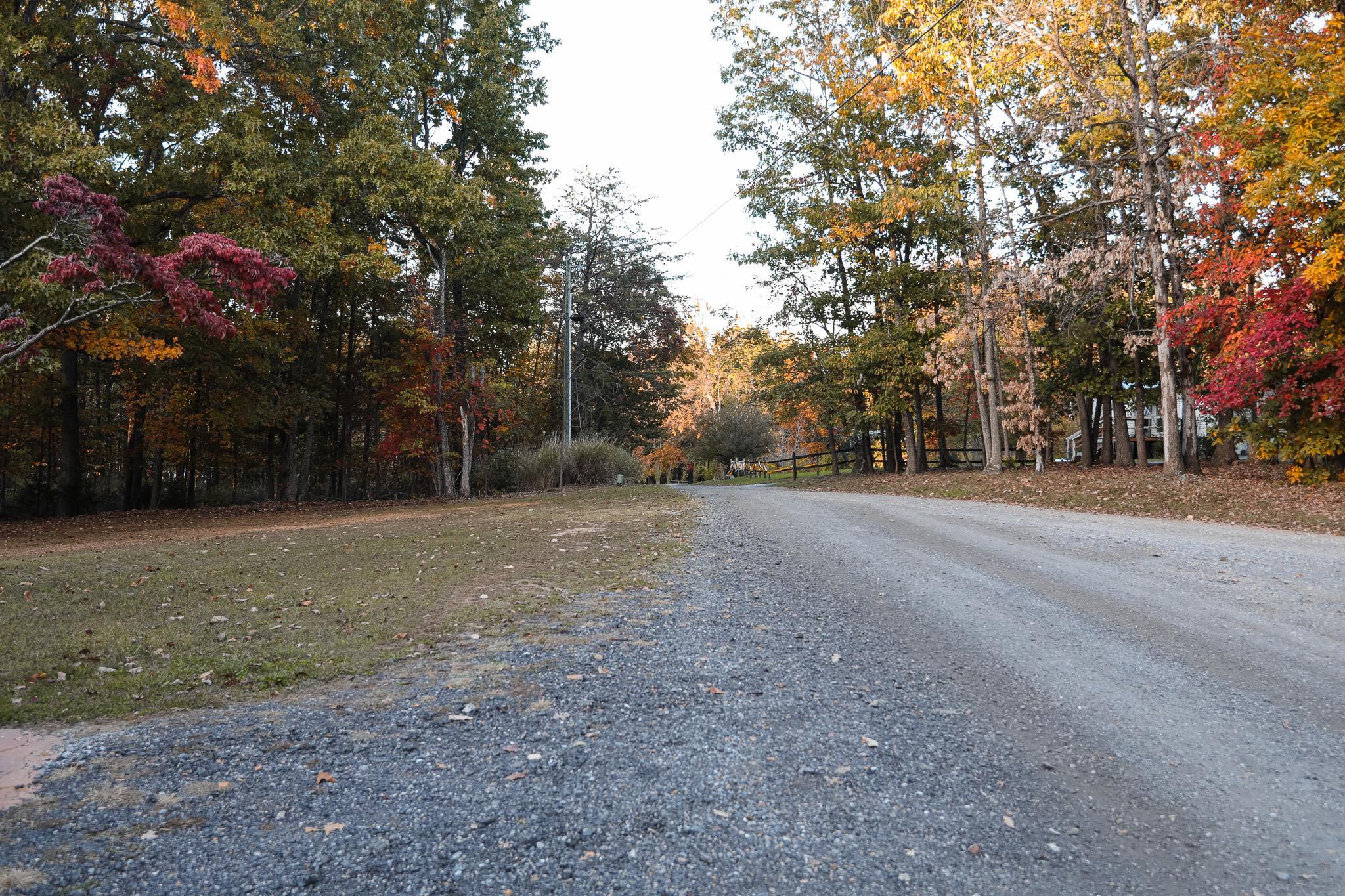 31 BIG BIRD LN, CRIMORA, Virginia 24431, 4 Bedrooms Bedrooms, ,2 BathroomsBathrooms,Residential,31 BIG BIRD LN,674092 MLS # 674092