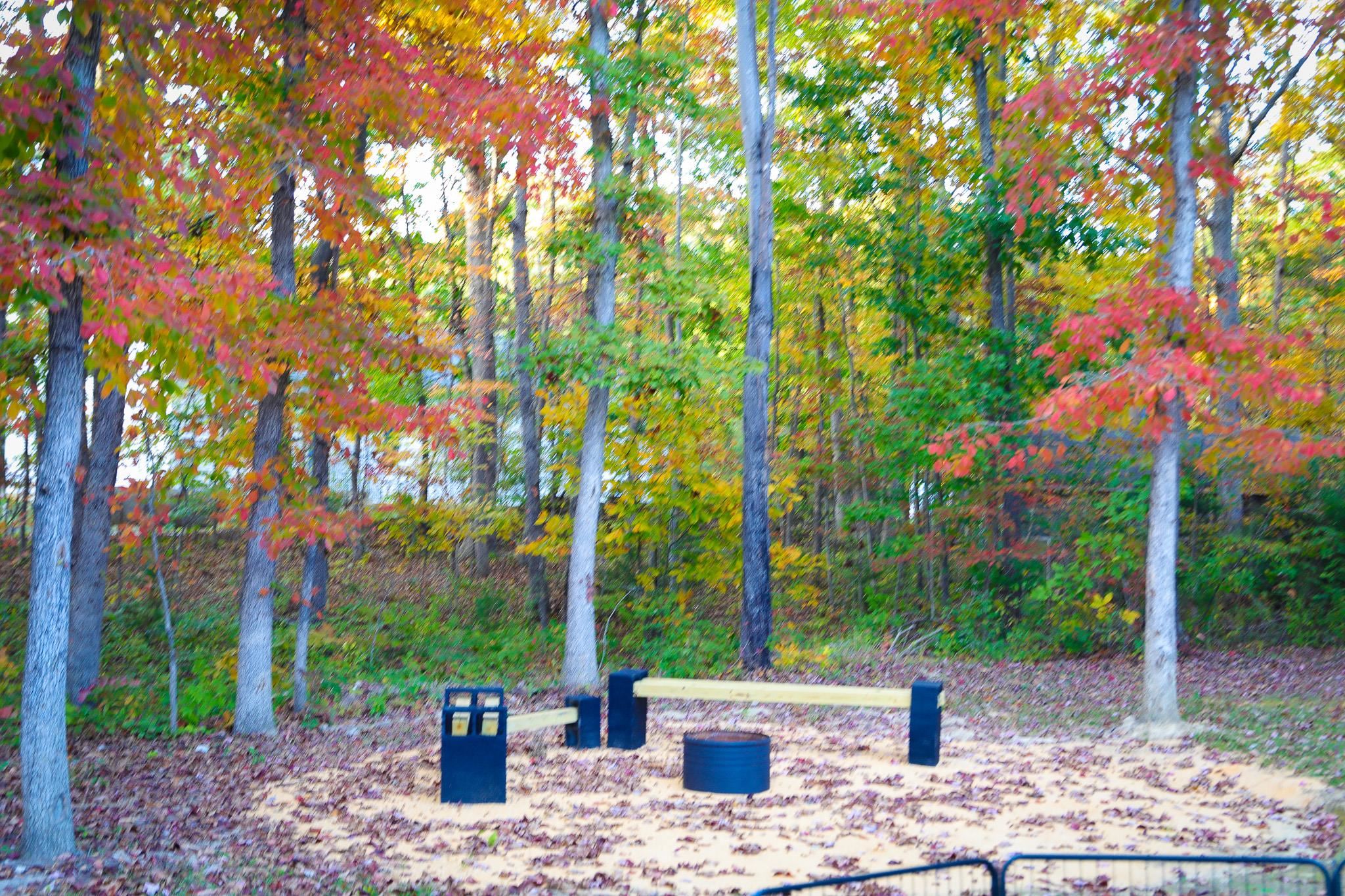 31 BIG BIRD LN, CRIMORA, Virginia 24431, 4 Bedrooms Bedrooms, ,2 BathroomsBathrooms,Residential,31 BIG BIRD LN,674092 MLS # 674092