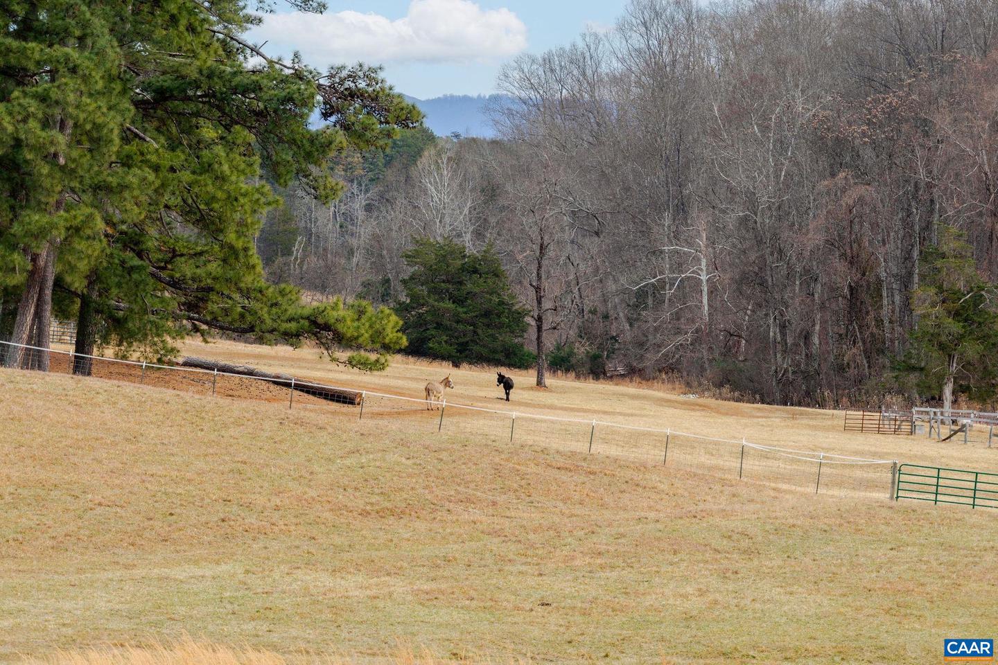 3 ACRES TBB OWENSVILLE RD #G, CHARLOTTESVILLE, Virginia 22903, 5 Bedrooms Bedrooms, ,4 BathroomsBathrooms,Residential,For sale,3 ACRES TBB OWENSVILLE RD #G,673942 MLS # 673942