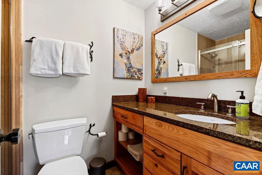 96 SQUIRREL TREE LN, WINTERGREEN RESORT, Virginia 22967, 3 Bedrooms Bedrooms, ,2 BathroomsBathrooms,Residential,For sale,96 SQUIRREL TREE LN,674067 MLS # 674067