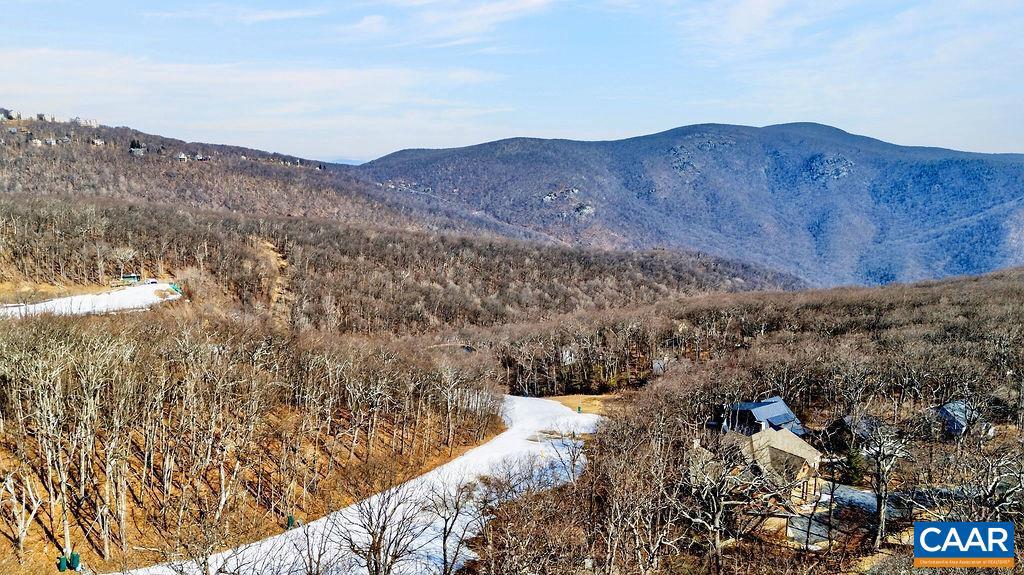 96 SQUIRREL TREE LN, WINTERGREEN RESORT, Virginia 22967, 3 Bedrooms Bedrooms, ,2 BathroomsBathrooms,Residential,For sale,96 SQUIRREL TREE LN,674067 MLS # 674067