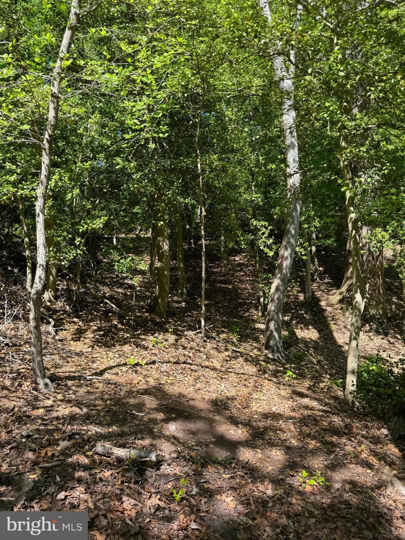 53 BETTS RD, STAFFORD, Virginia 22554, ,Land,For sale,53 BETTS RD,VAST2034110 MLS # VAST2034110