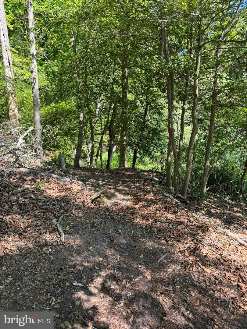 53 BETTS RD, STAFFORD, Virginia 22554, ,Land,For sale,53 BETTS RD,VAST2034110 MLS # VAST2034110