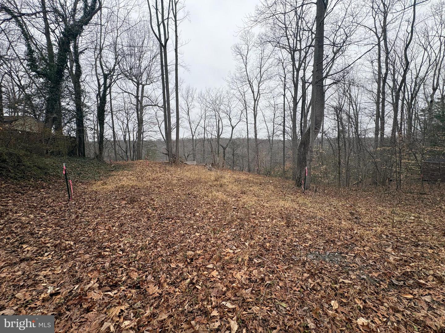 8544 SHORT ST, MANASSAS, Virginia 20112, ,Land,For sale,8544 SHORT ST,VAPW2113966 MLS # VAPW2113966