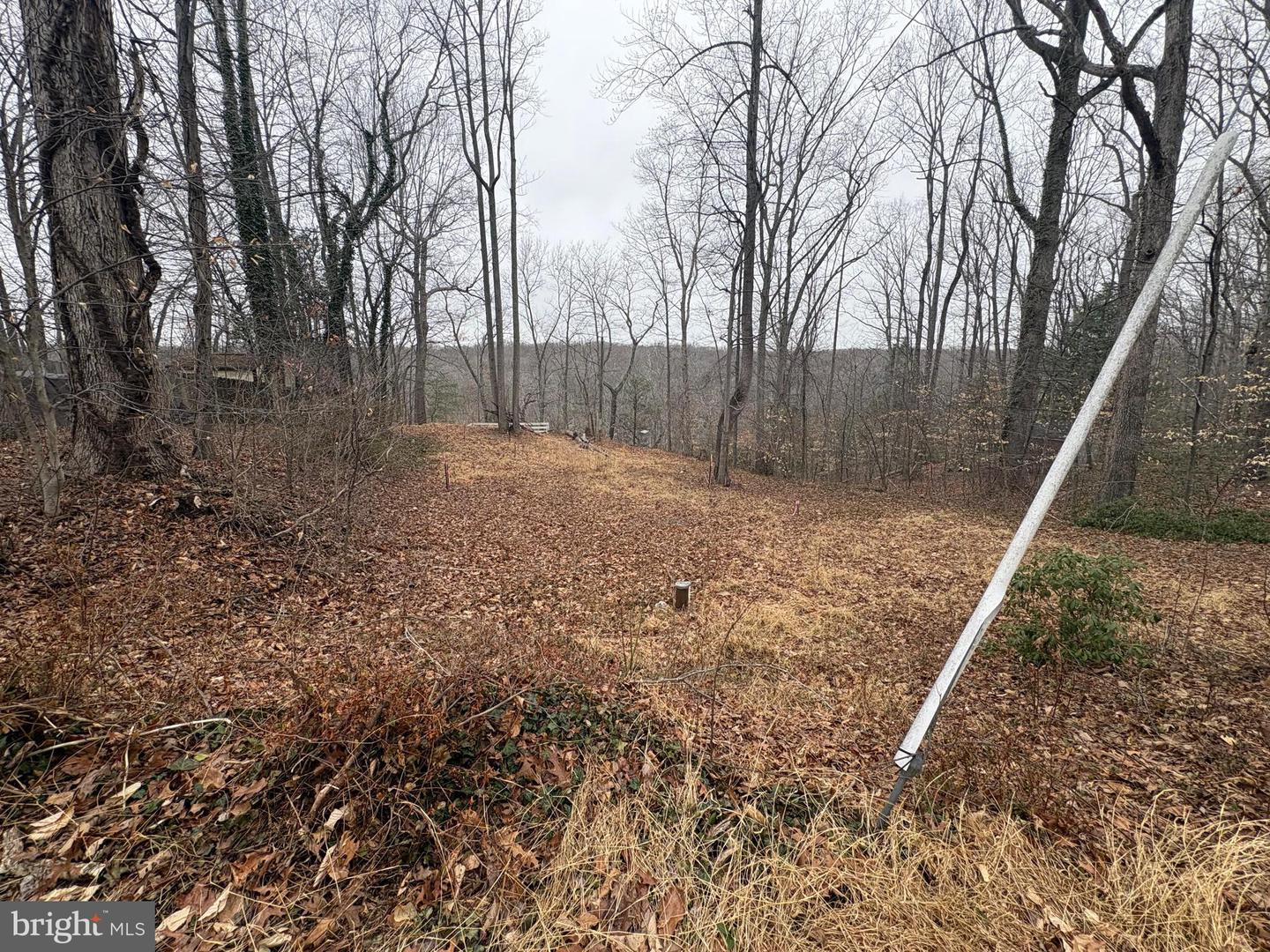 8544 SHORT ST, MANASSAS, Virginia 20112, ,Land,For sale,8544 SHORT ST,VAPW2113966 MLS # VAPW2113966