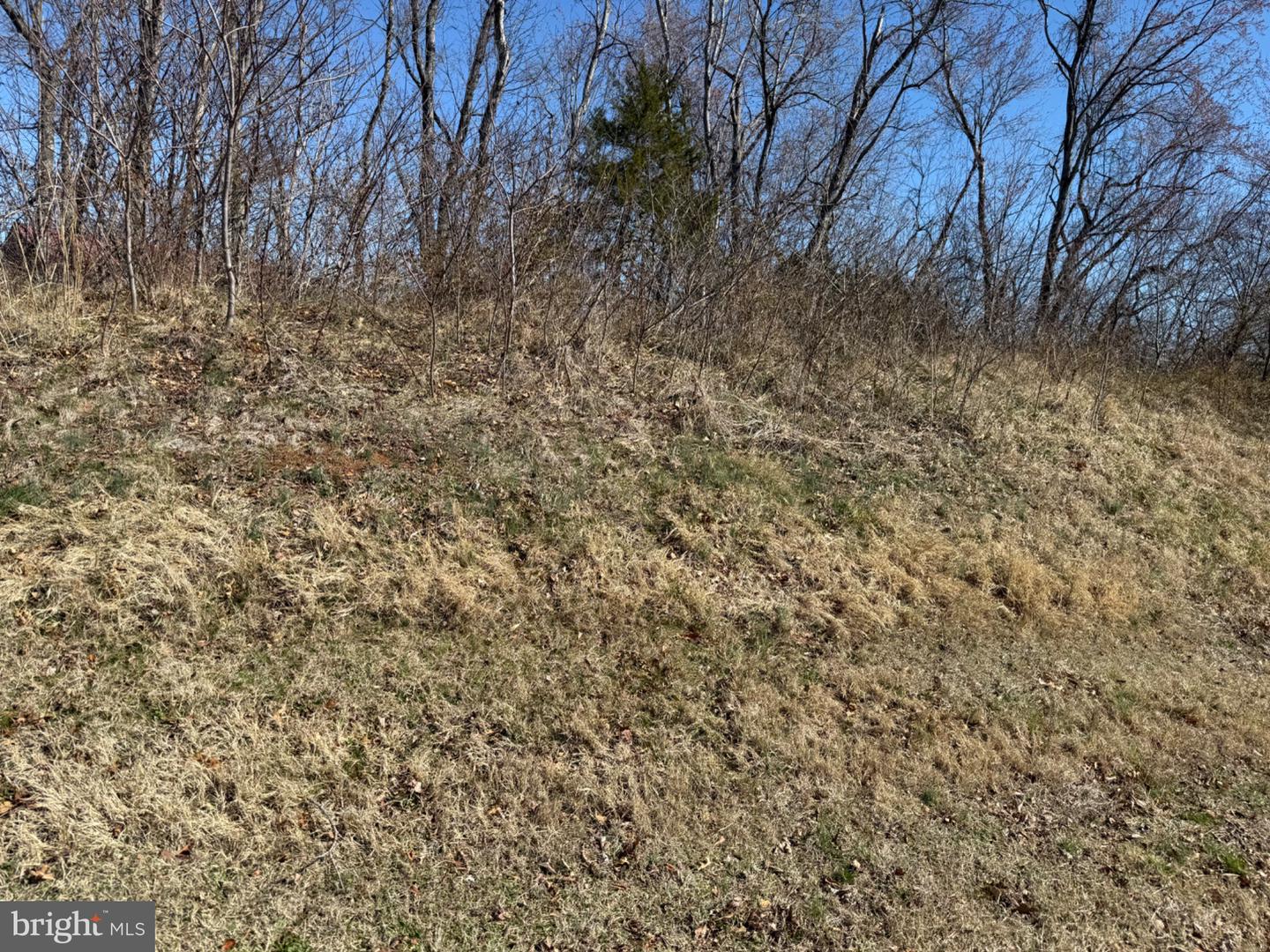 0 COLONEL JAMESON BLVD, CULPEPER, Virginia 22701, ,Land,For sale,0 COLONEL JAMESON BLVD,VACU2012890 MLS # VACU2012890