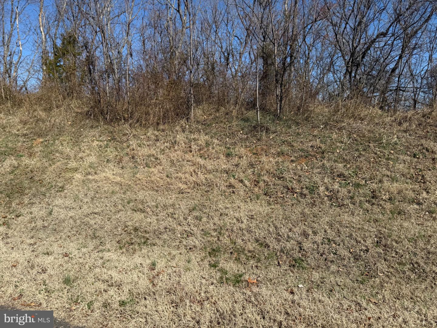 0 COLONEL JAMESON BLVD, CULPEPER, Virginia 22701, ,Land,For sale,0 COLONEL JAMESON BLVD,VACU2012890 MLS # VACU2012890