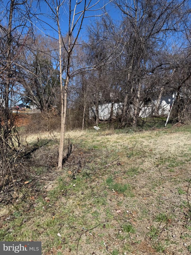 0 HILLTOP DR, CULPEPER, Virginia 22701, ,Land,For sale,0 HILLTOP DR,VACU2012892 MLS # VACU2012892