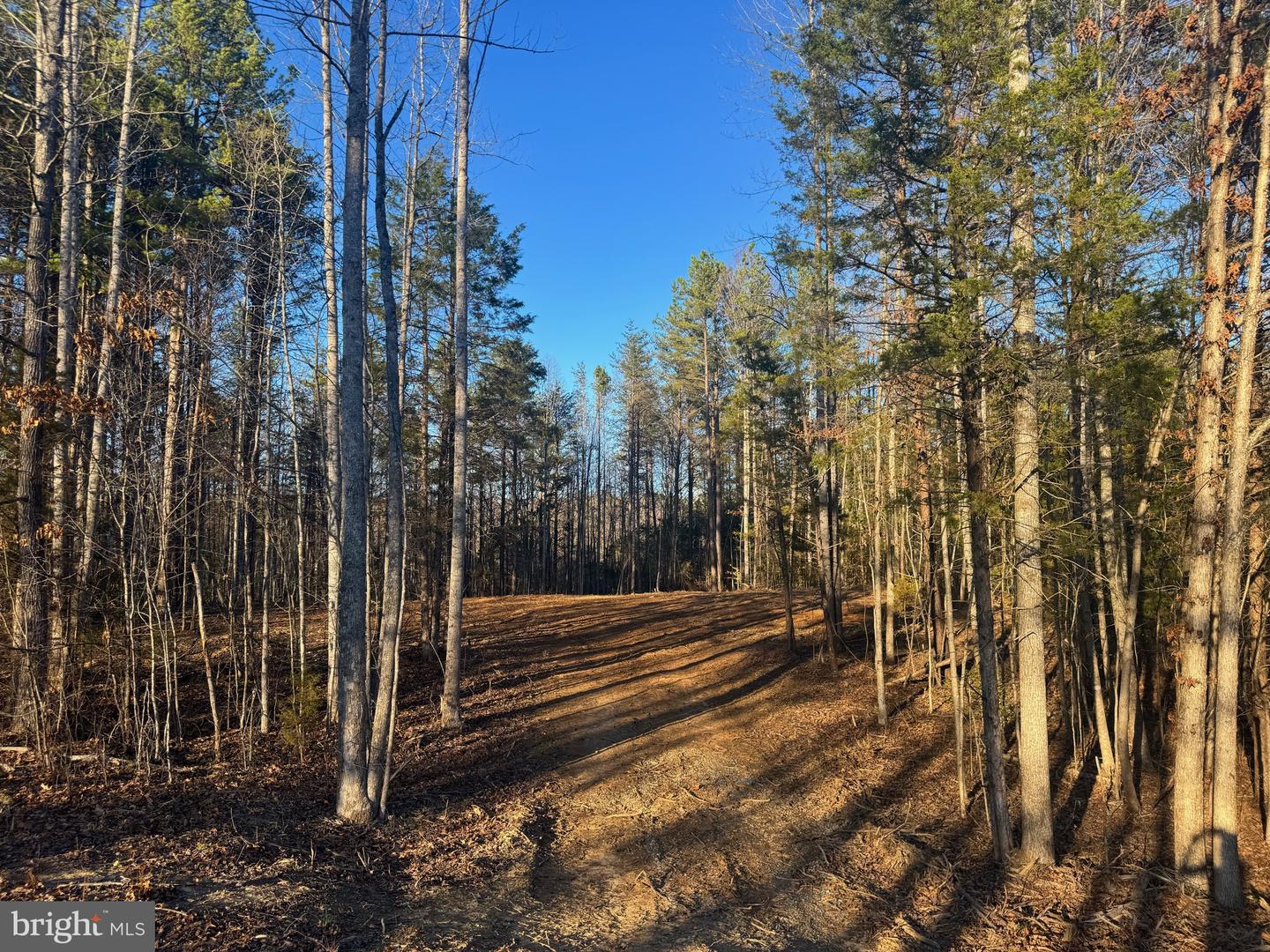 541 EQUESTRIAN LANDING TRL, BUMPASS, Virginia 23024, ,Land,For sale,541 EQUESTRIAN LANDING TRL,VALA2009416 MLS # VALA2009416