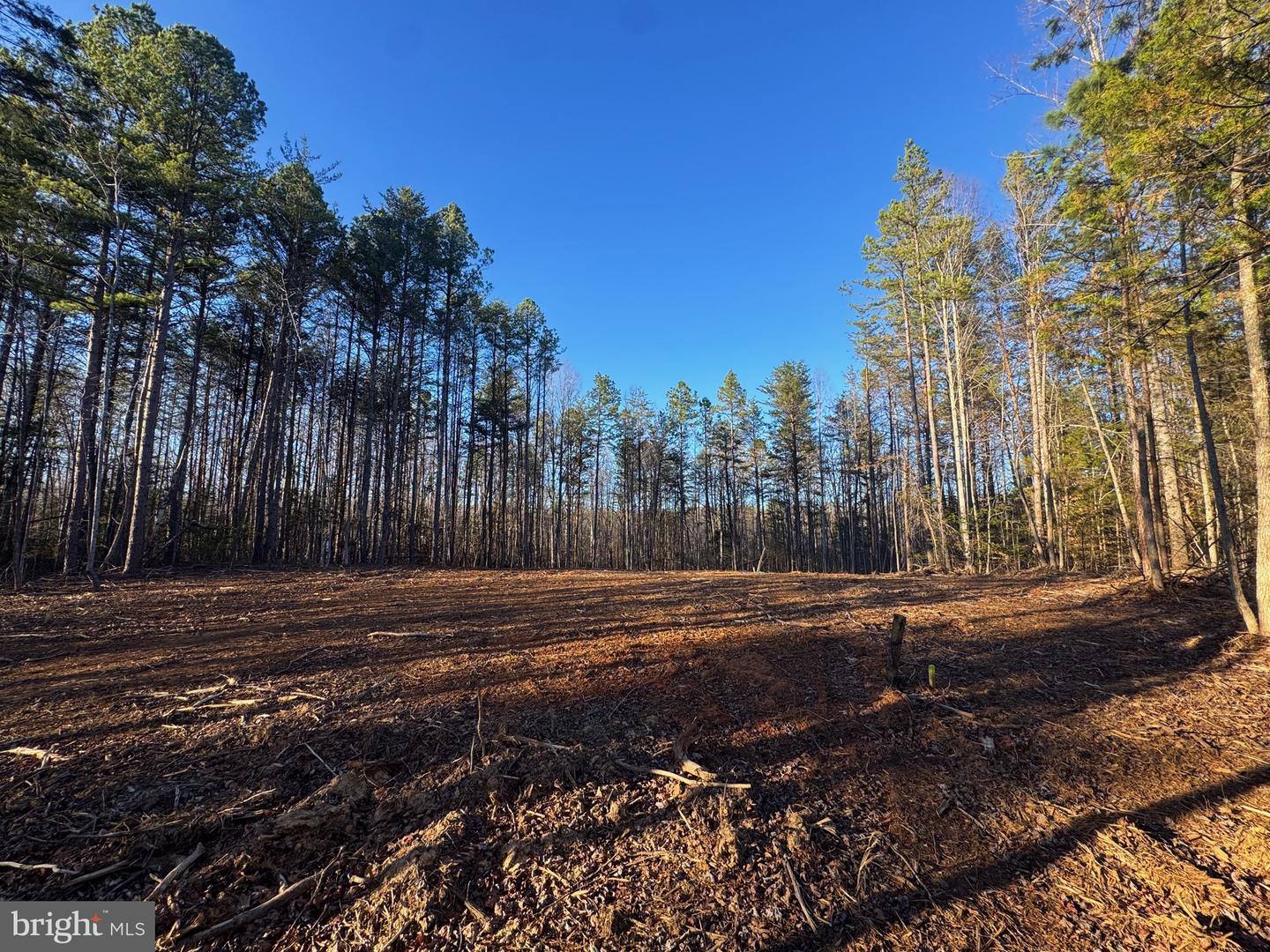 541 EQUESTRIAN LANDING TRL, BUMPASS, Virginia 23024, ,Land,For sale,541 EQUESTRIAN LANDING TRL,VALA2009416 MLS # VALA2009416