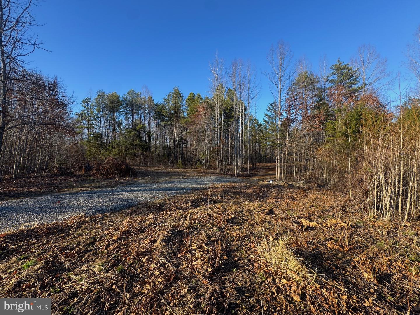 541 EQUESTRIAN LANDING TRL, BUMPASS, Virginia 23024, ,Land,For sale,541 EQUESTRIAN LANDING TRL,VALA2009416 MLS # VALA2009416