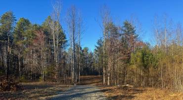 541 EQUESTRIAN LANDING TRL, BUMPASS, Virginia 23024, ,Land,For sale,541 EQUESTRIAN LANDING TRL,VALA2009416 MLS # VALA2009416