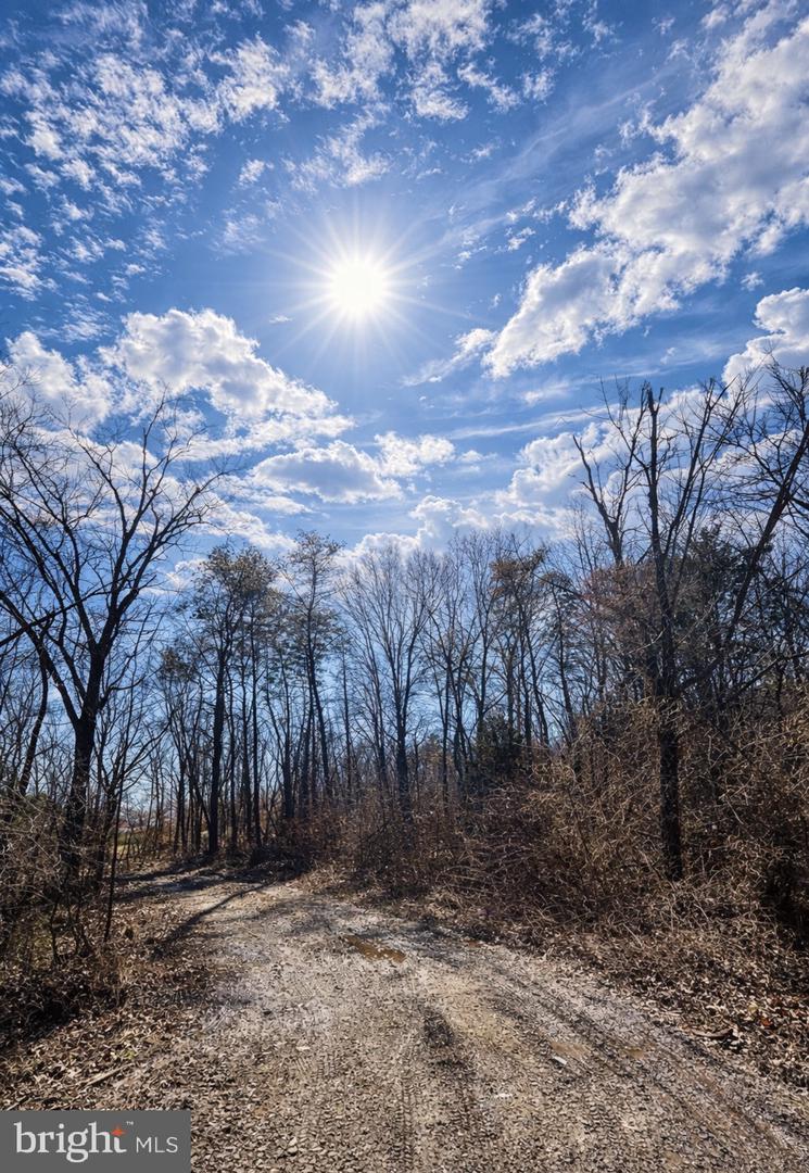 0 MESSICK ROAD, STRASBURG, Virginia 22657, ,Land,For sale,0 MESSICK ROAD,VAWR2013622 MLS # VAWR2013622