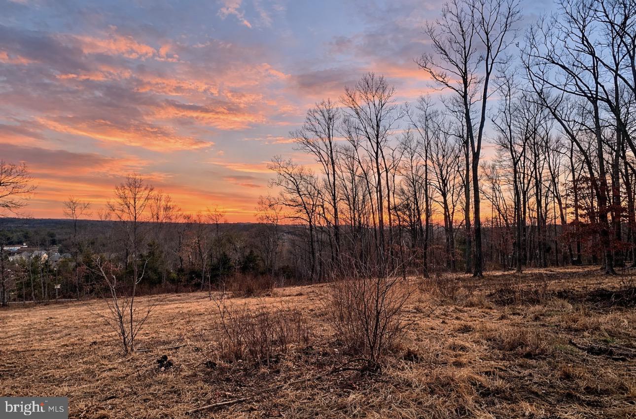 0 MESSICK ROAD, STRASBURG, Virginia 22657, ,Land,For sale,0 MESSICK ROAD,VAWR2013622 MLS # VAWR2013622