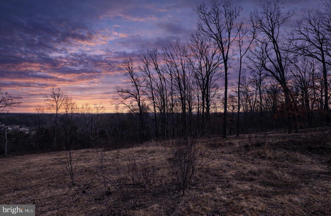 0 MESSICK ROAD, STRASBURG, Virginia 22657, ,Land,For sale,0 MESSICK ROAD,VAWR2013622 MLS # VAWR2013622