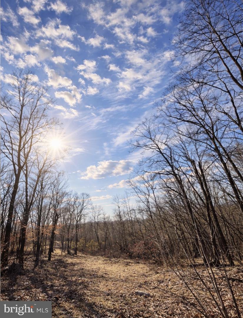 0 MESSICK ROAD, STRASBURG, Virginia 22657, ,Land,For sale,0 MESSICK ROAD,VAWR2013622 MLS # VAWR2013622