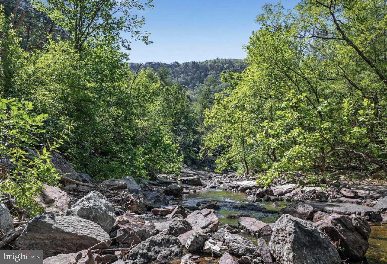 0 MESSICK ROAD, STRASBURG, Virginia 22657, ,Land,For sale,0 MESSICK ROAD,VAWR2013622 MLS # VAWR2013622