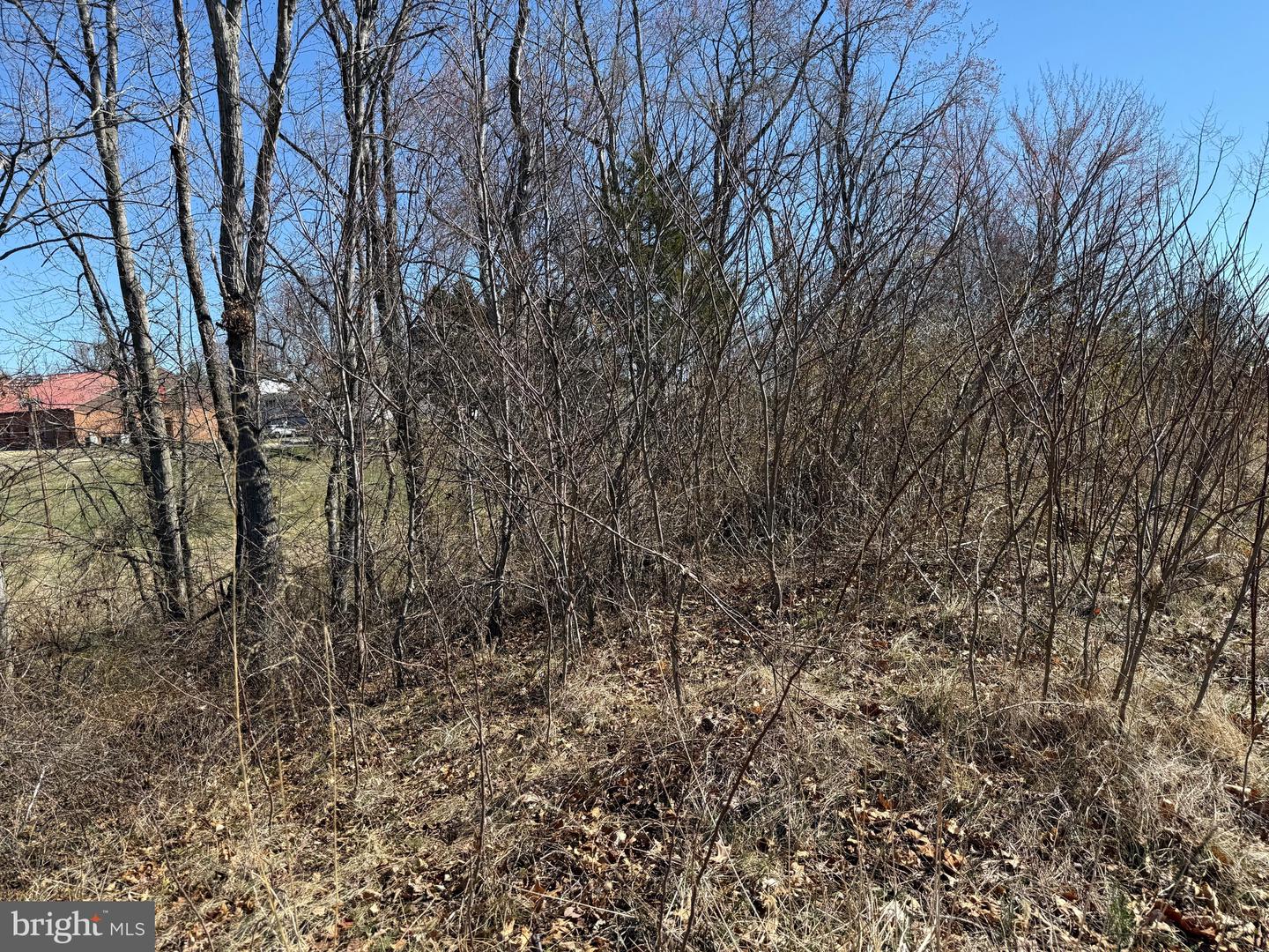 0 COLONEL JAMESON BLVD, CULPEPER, Virginia 22701, ,Land,For sale,0 COLONEL JAMESON BLVD,VACU2012904 MLS # VACU2012904