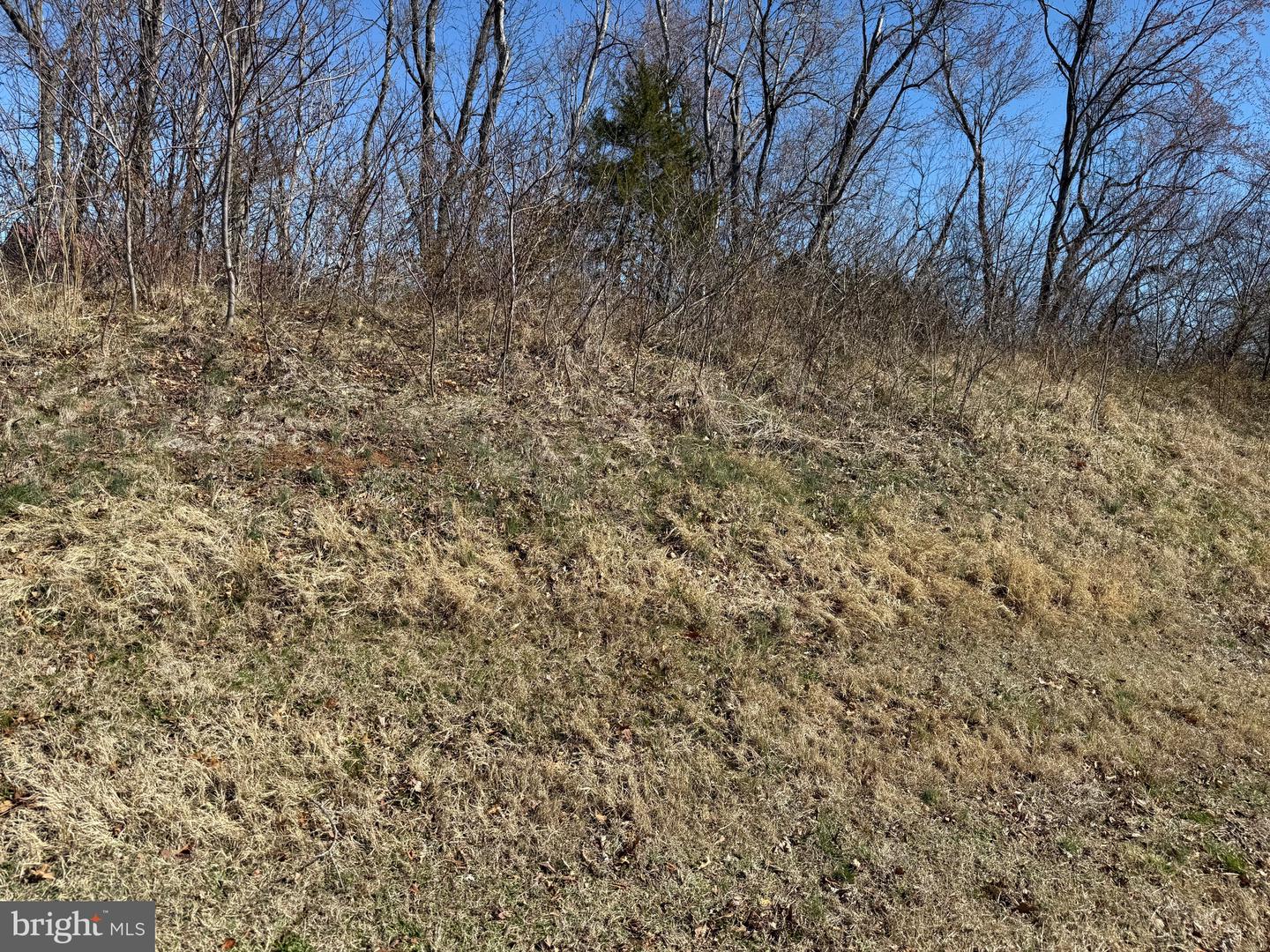 0 COLONEL JAMESON BLVD, CULPEPER, Virginia 22701, ,Land,For sale,0 COLONEL JAMESON BLVD,VACU2012904 MLS # VACU2012904